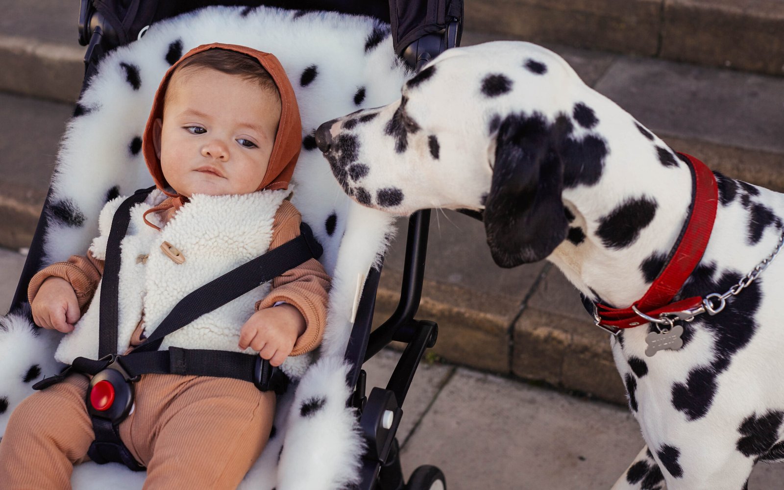 gallery image BINIBAMBA Dalmatian Snuggler®  Luxe schapenvacht buggy inleg